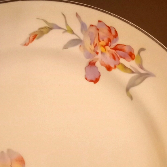 Vintage Universal Cambridge Iris Plate Bundle - 9 - 9.25" Dinner Plates - Picture 4 of 11